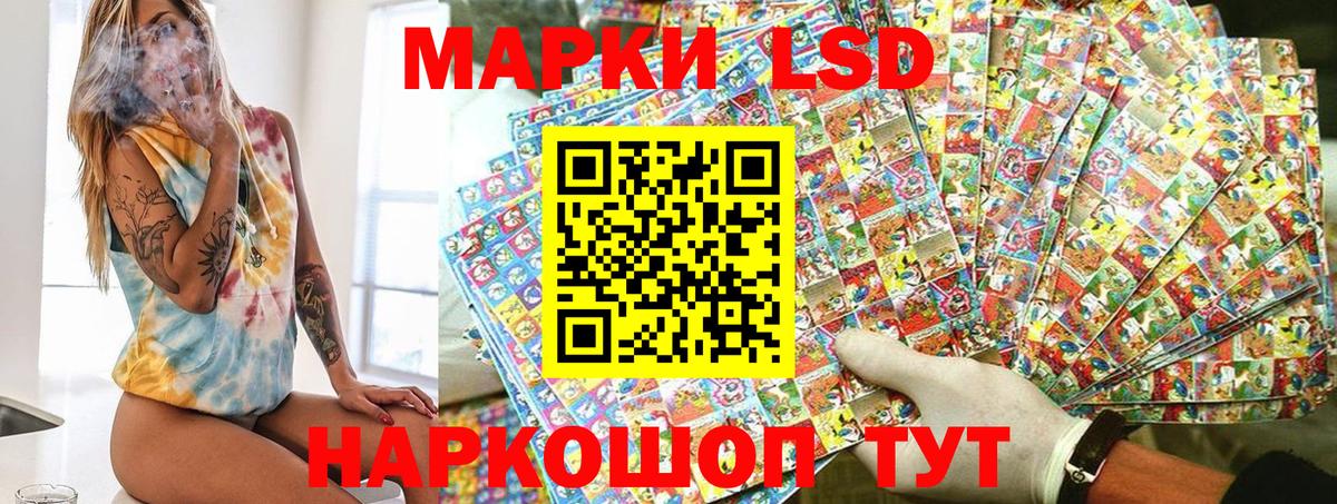 Наркотические марки 1500мкг  Наркотические марки 1500мкг  Вход с VPN  Сатка 