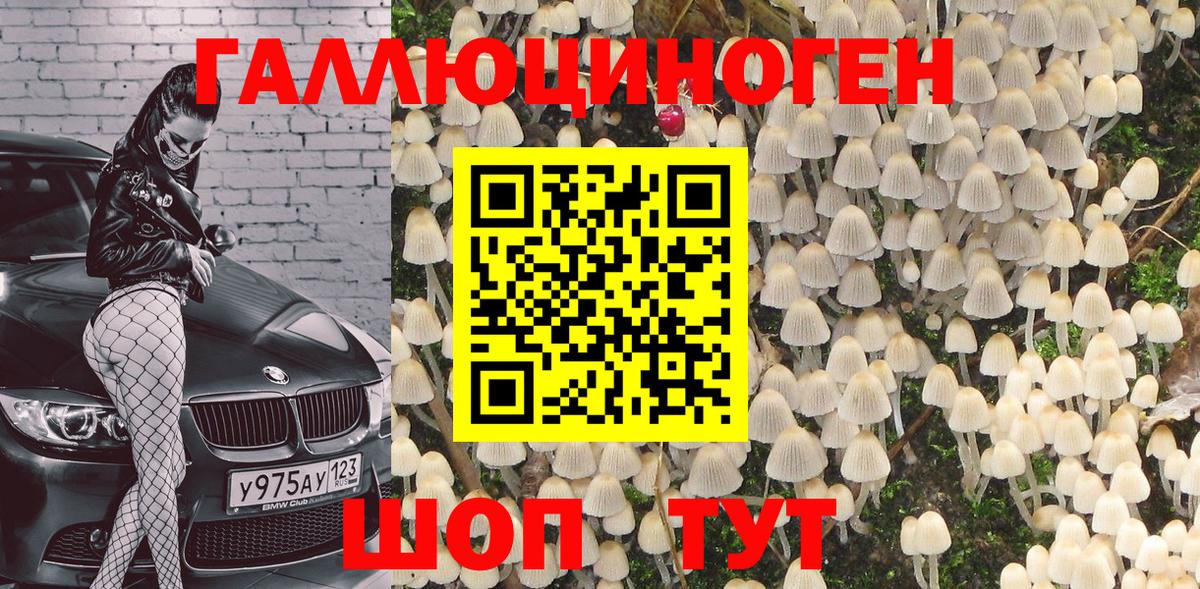Сатка  Галлюциногенные грибы Psilocybe  Вход с VPN  Галлюциногенные грибы Psilocybe 